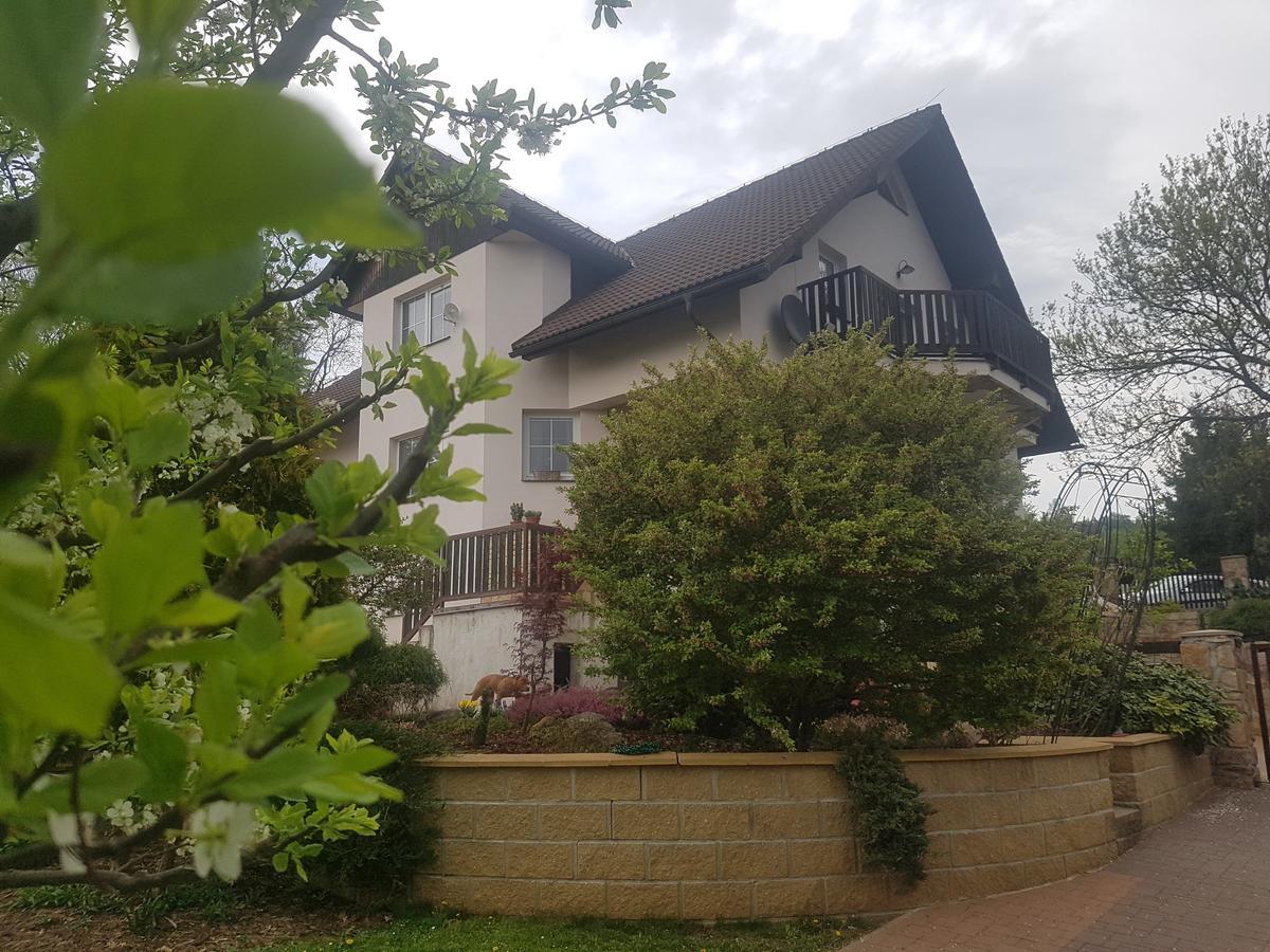 Vila Na Skalce Ceska Kamenice Luaran gambar