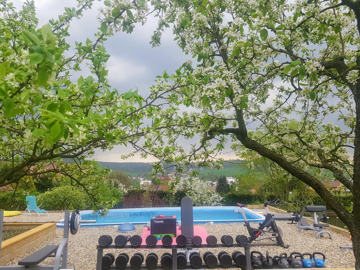 Vila Na Skalce Ceska Kamenice Luaran gambar
